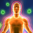 Immune System Support